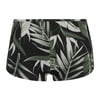 Tropical Foncé