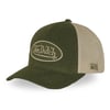 Vert Sapin/Beige