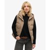 Marron Fossile