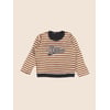 Gris, Marron
