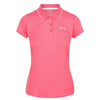 Magenta Fuchsia