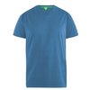 Bleu Sarcelle