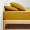 Amarelo absinto