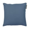 Bleuet