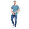 Bleu Sarcelle