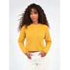 Ocre