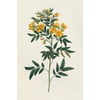 Tableau Alu Dibond