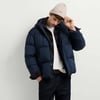 Bleu Dulwich