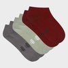 Molgrijs +bordeaux +saliegroen