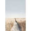 Tableau Alu Dibond