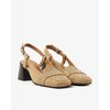 Beige Noisette