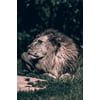 Tableau Alu Dibond