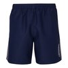 Bleu Marine, Gris