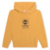 Ochre