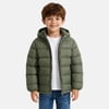 Vert Kaki