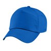 Bleu Roi