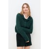 Vert Canard