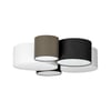 Gris, Noir, Blanc
