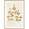 Affiche + Cadre En Bois - Chêne