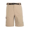 Beige Foncé