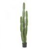 Déco Cactus