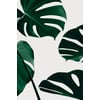 Tableau Alu Dibond