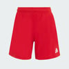 Team Power Red 2 / White