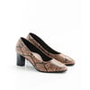 Marron Beige Serpent