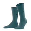 Bleu Amazonia