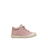 Rose-
