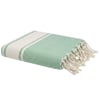 Vert Menthe