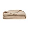 Beige Biscuit