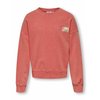 Rose Corail