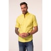 Jaune Citron