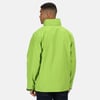 Vert Citron / Gris