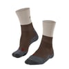 Chestnut (5534)