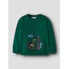 Turquoise - Evergreen1
