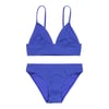 Violet Dazzling Blue