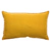Mangue