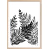 Affiche + Cadre En Bois - Chêne
