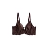 Marron Chocolat