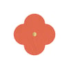 Corail Épicé