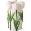 Blanc Et Vert