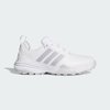 Cloud White / Silver Metallic / Dash Grey