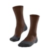 Chestnut (5534)