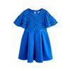 Bleu Cobalt
