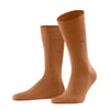 Caramel (5582)