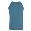 Bleu Sarcelle