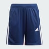Team Navy / Red