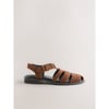 Marron Fauve